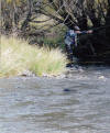 Nymphing techniques at Rhodes in Eastern Cape SA