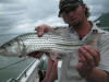 1kg Tigerfish caught in Lake Jozini