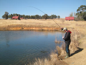 Millstream South Africa Thistle Pond