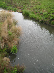 Little Pool Millstream