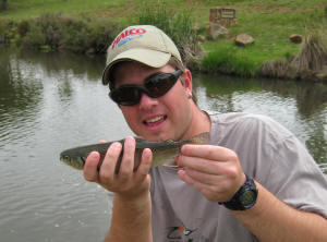 Rainbow Trout fingerling