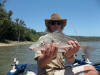 Spotted Grunter caught by Gavin Erwin