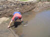 Landing a Rainbow Trout