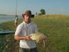 Mirror Carp caught by Sean Bisset