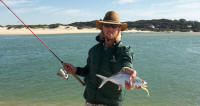 Juvenile Garrick in the Bushmans River