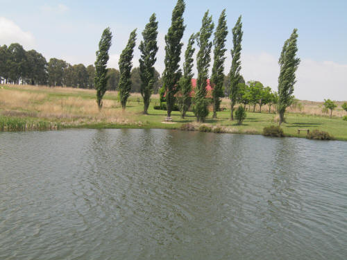 Water Cricket Pond Millstream Fly Fishing
