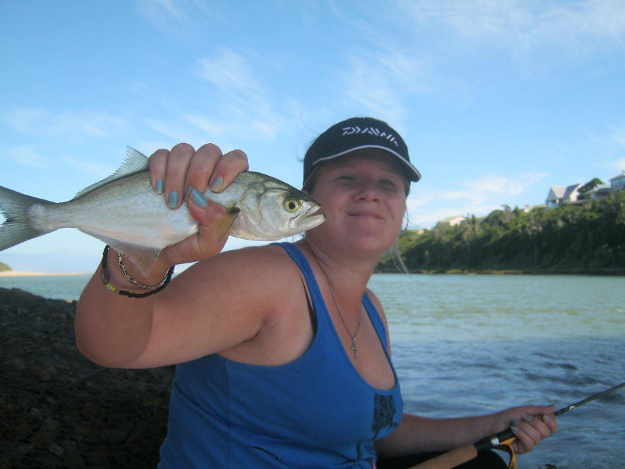 Catching 5 KG Shad (Tailor)(Elf)(Blue fish), KZN Fishing Expedition