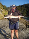 Martin with a lovely Grey - Dusky - Shark