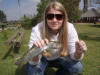 Large Rainbow Trout caught on a spinner