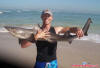 JR with a big smoothound shark