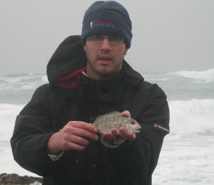 White Musselcracker caught at roman rocks