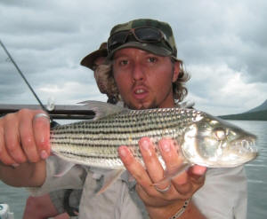 Big Tigerfish at jozini