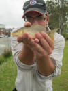 Small Common Carp caught in Kempton Park
