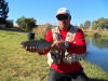 Beautiful South African Rainbow Trout