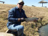 South African Rainbow Trout Caught On Fly