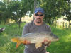 Beautiful Common Carp