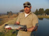 Rainbow Trout - Fly Fishing South Africa