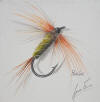 Gavin Erwin Fly Fishing Art - Hot Cat