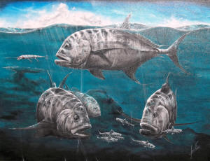 Fish Art By Gavin Erwin Sponsor Rasspl