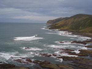 Brazenhead in the Transkei