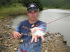 Cape Stumpnose caught far up Kariega River