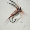 Gavin Erwin Fly Fishing Art - Adams