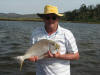 Natal Stumpnose caught in a Kwazulu Natal estuary