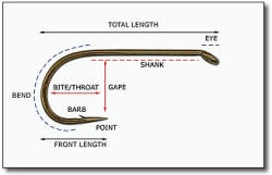 Diagram of parts of a bass hook
