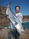 King Mackerel (Couta) caught on a halco mx lure