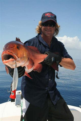 Twinspot (Bohar, Red) Snapper