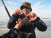 The rarer Black Barbel (Sea Catfish)