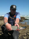 1.4kg Striped Mullet caught by Darryn Harvey