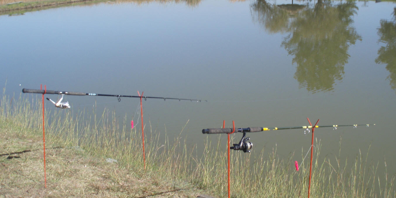 Carp Rod Setup  Carp fishing rigs, Carp rods, Carp fishing tips