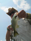 Gavin Erwins Bass From Homestead Dam